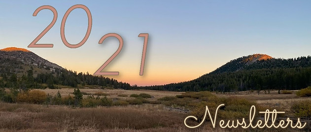 2021 Newsletter Archive- Tahoe Meadows.j